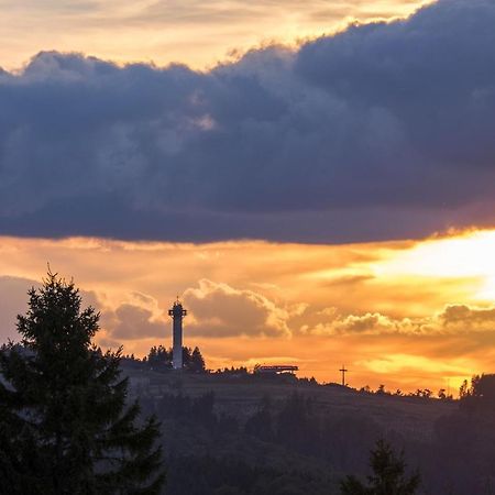 Fewo Poenblick Willingen  Εξωτερικό φωτογραφία