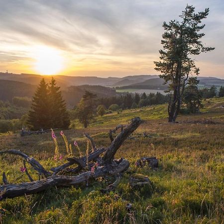Fewo Poenblick Willingen  Εξωτερικό φωτογραφία