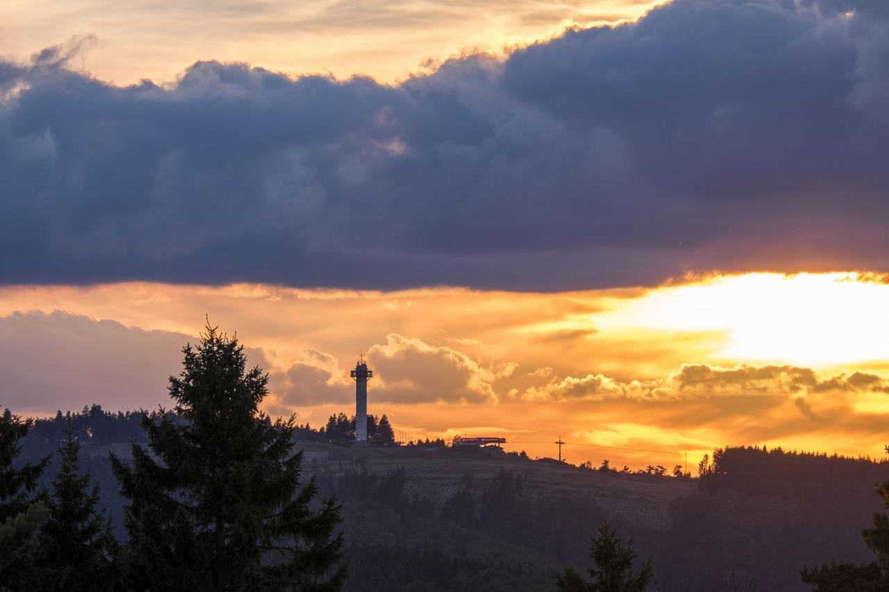 Fewo Poenblick Willingen  Εξωτερικό φωτογραφία