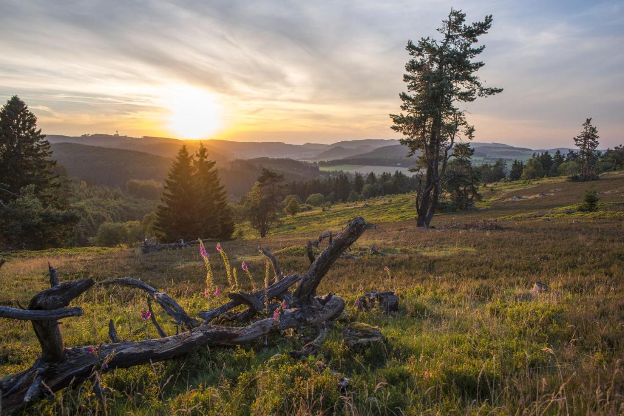 Fewo Poenblick Willingen  Εξωτερικό φωτογραφία