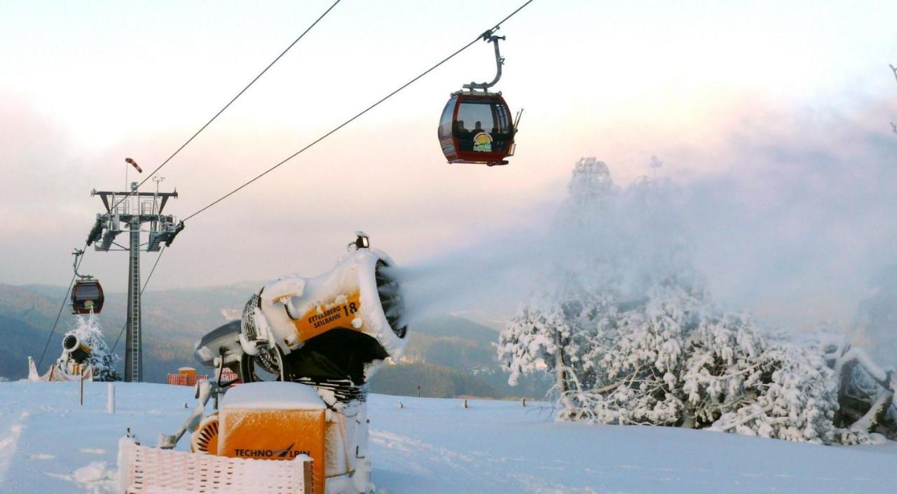 Fewo Poenblick Willingen  Εξωτερικό φωτογραφία